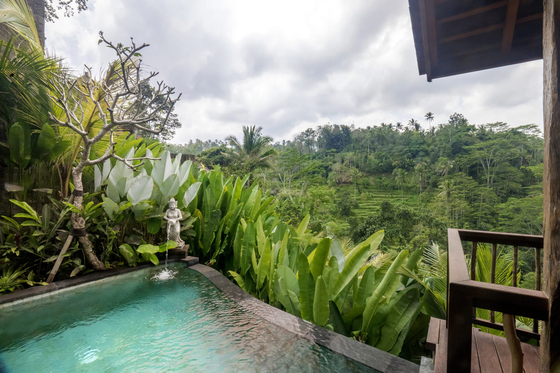 Jungle Pool Villas